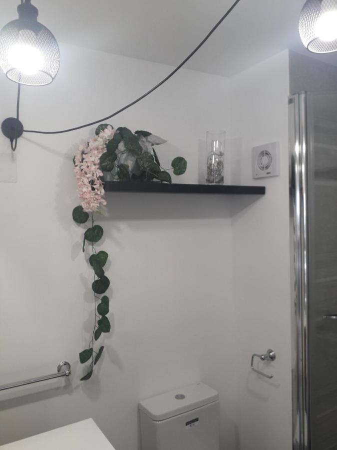 Apartamento Rex 貝尼多姆 外观 照片